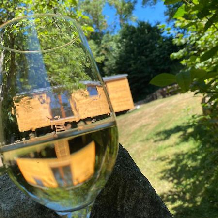 Vinna Maringotka Slavonice Luaran gambar